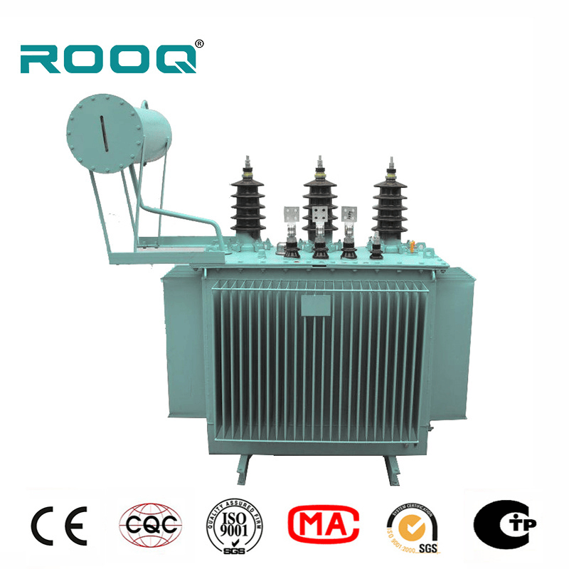 6kv/11kv/33kv/35kv Power/Distribution Transformer with Oil Immersed and Dry Type