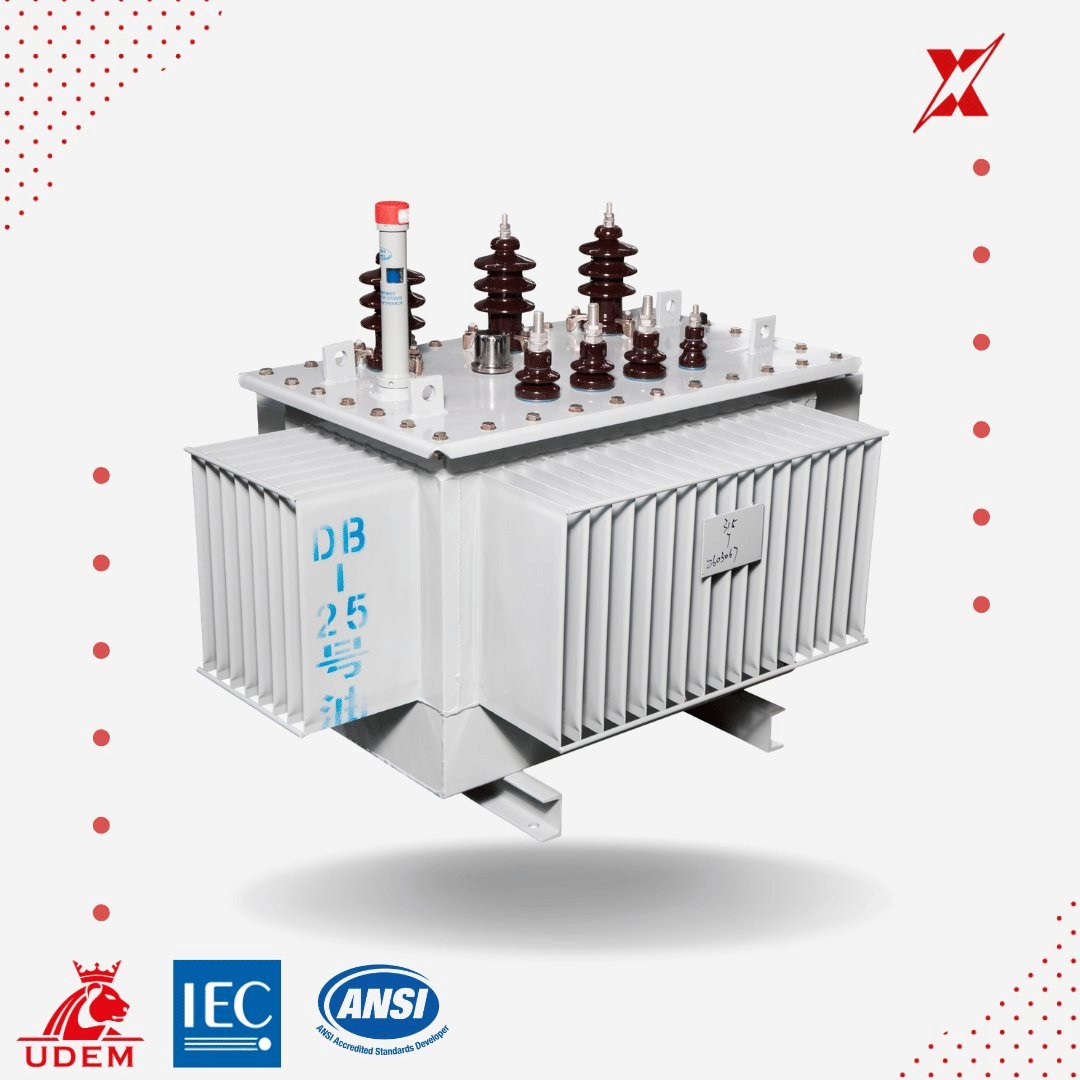 100 kVA 11kv S13/S22 Three-Phase Oil-Immersed Distribution Transformer